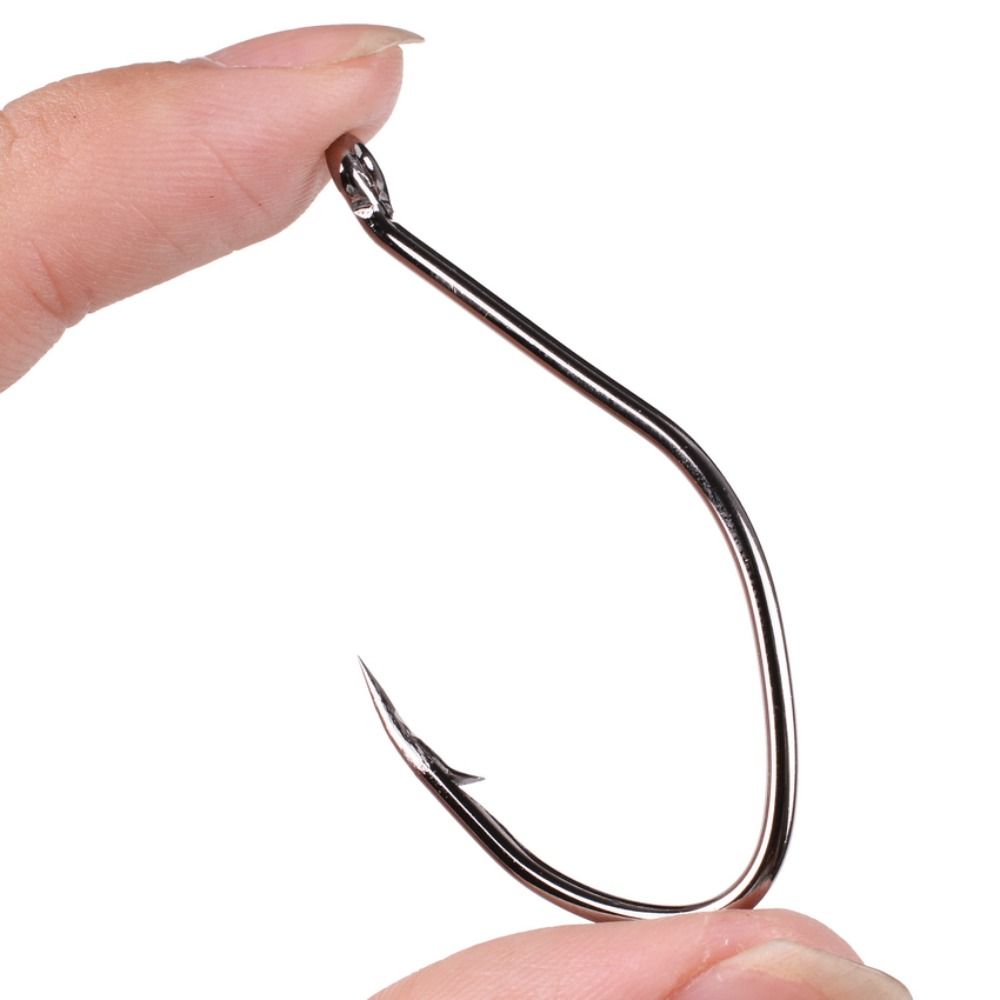 10pcs/Box Barbed Catfish Fishi - Fishing Hook Circle ulasan dan harga