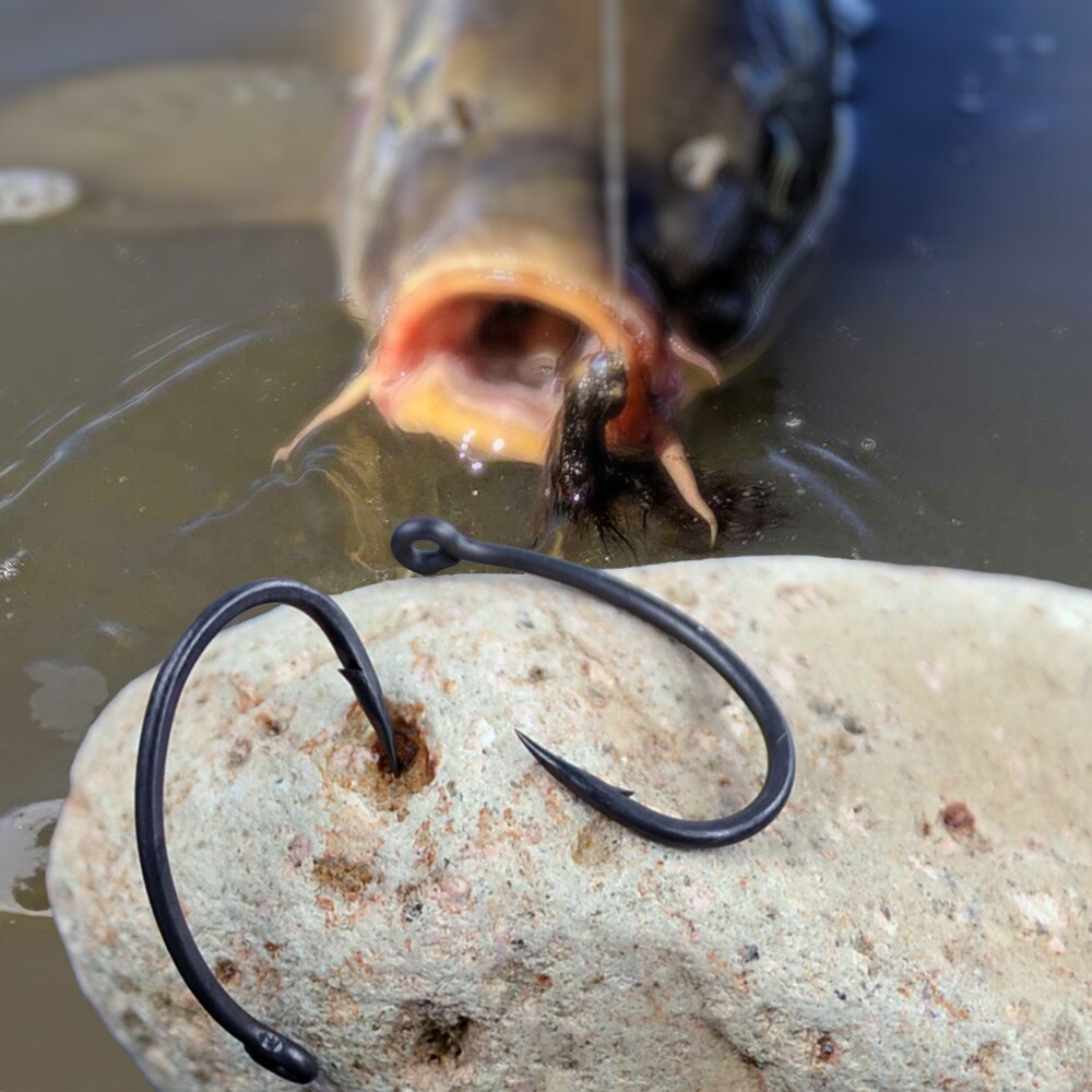 Hirisi Carp Fishing Hooks 50pc - Fishing Hook Circle ulasan dan harga